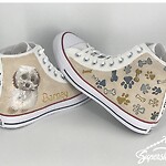 (Supershoes Pair #5868) - Super Daniel