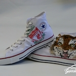 (Supershoes Pair #1719) - Super Albert