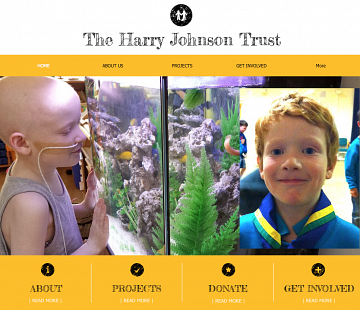 The Harry Johnson Trust